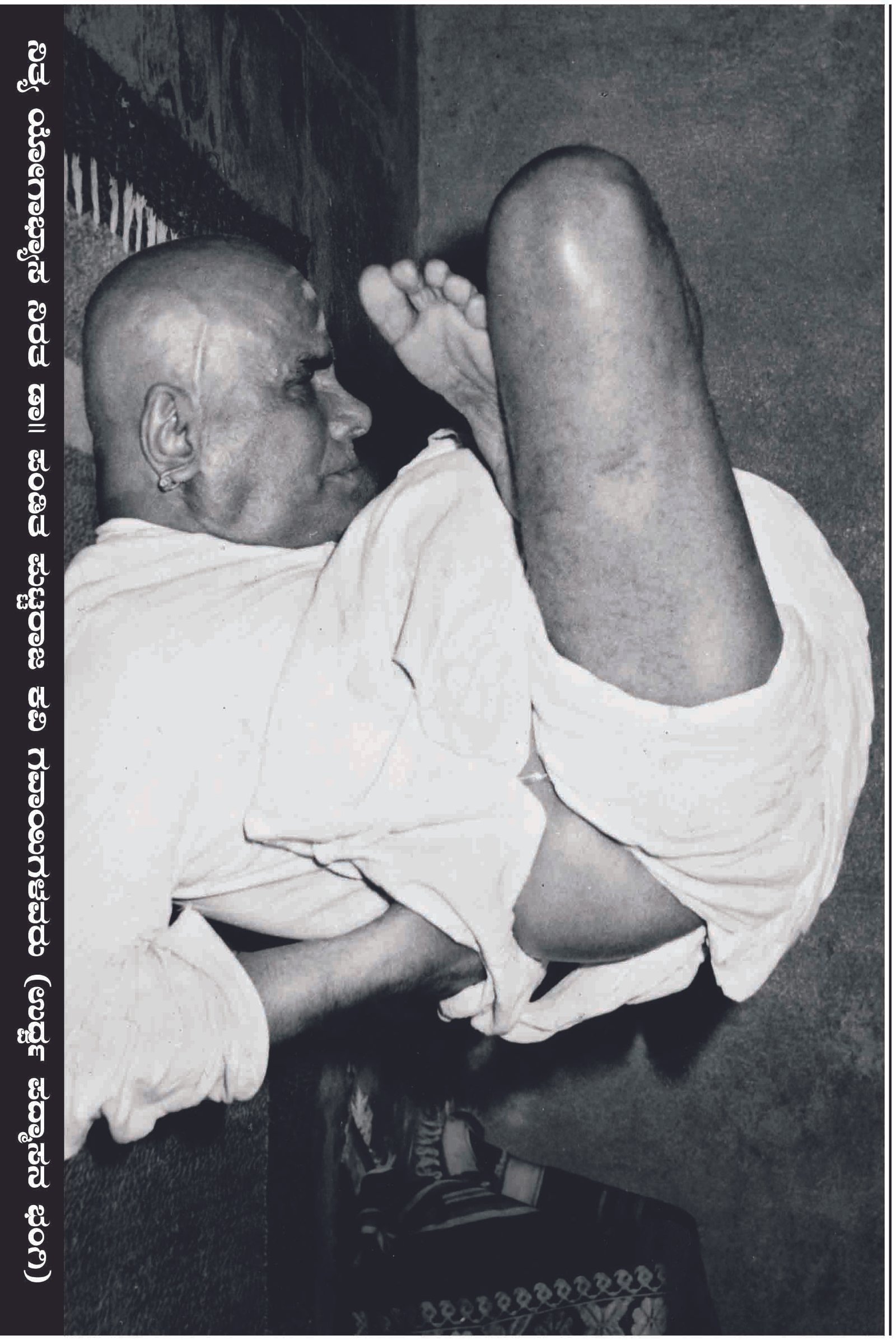 ಭಾವಚಿತ್ರ #11