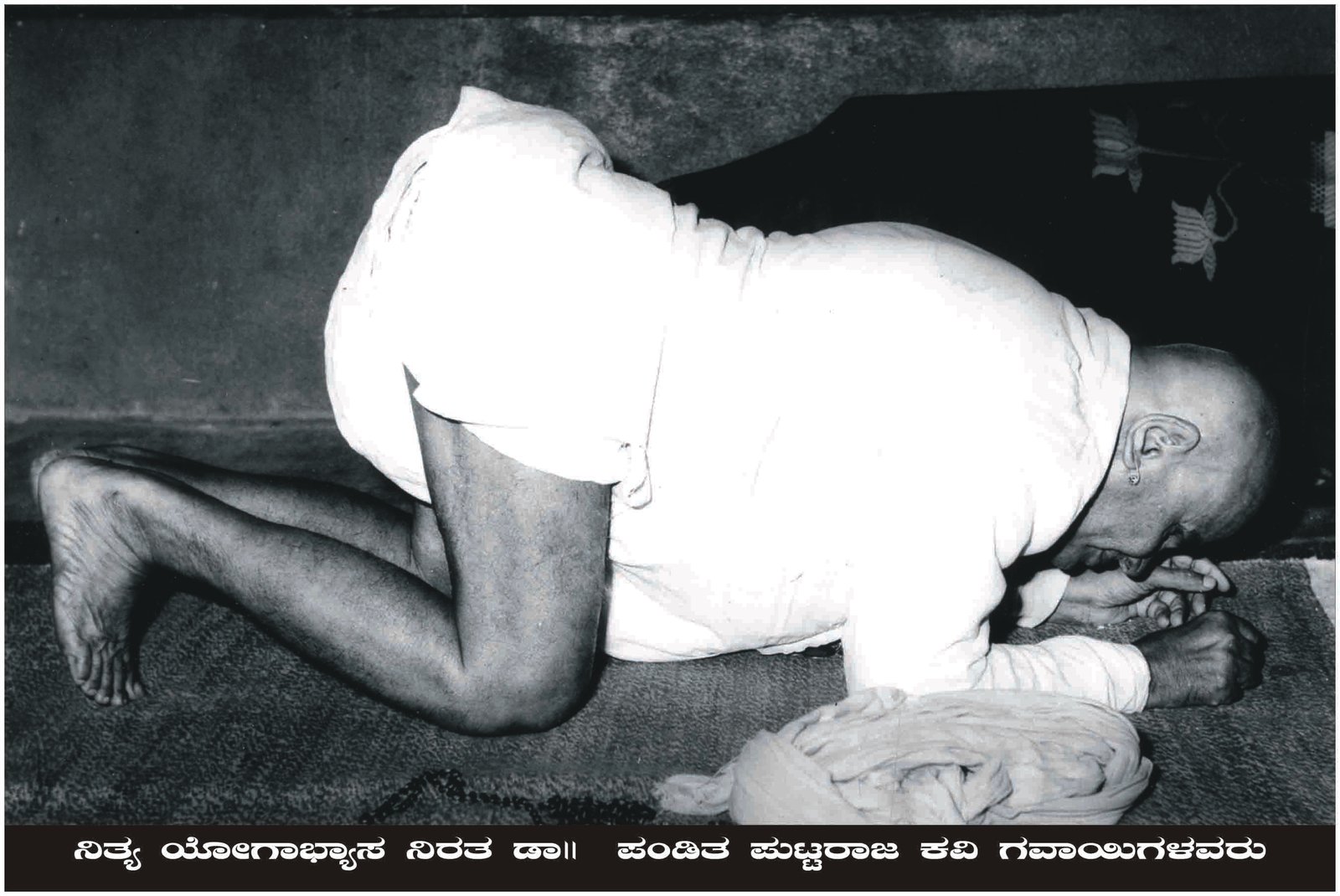 ಭಾವಚಿತ್ರ #13