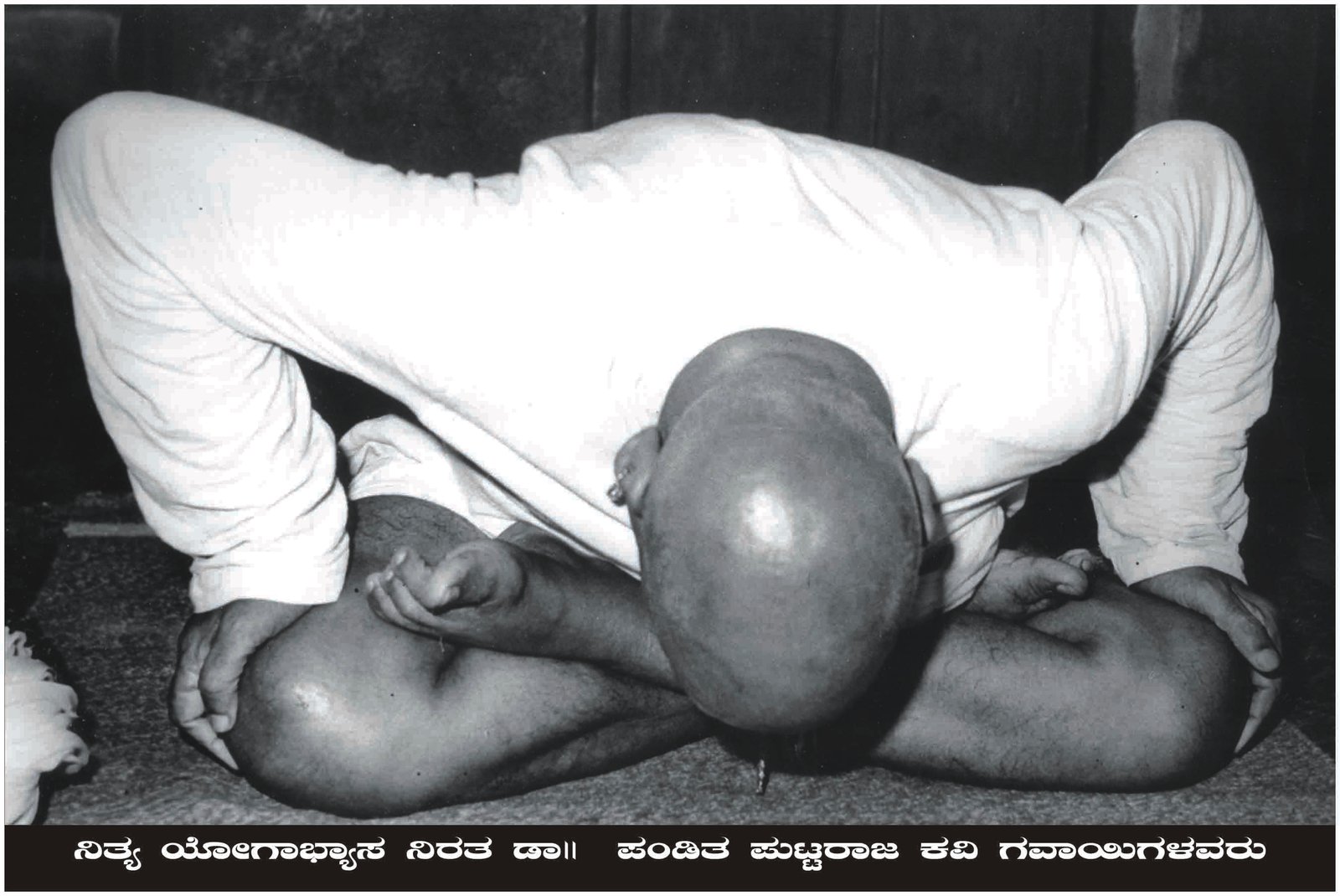 ಭಾವಚಿತ್ರ #14