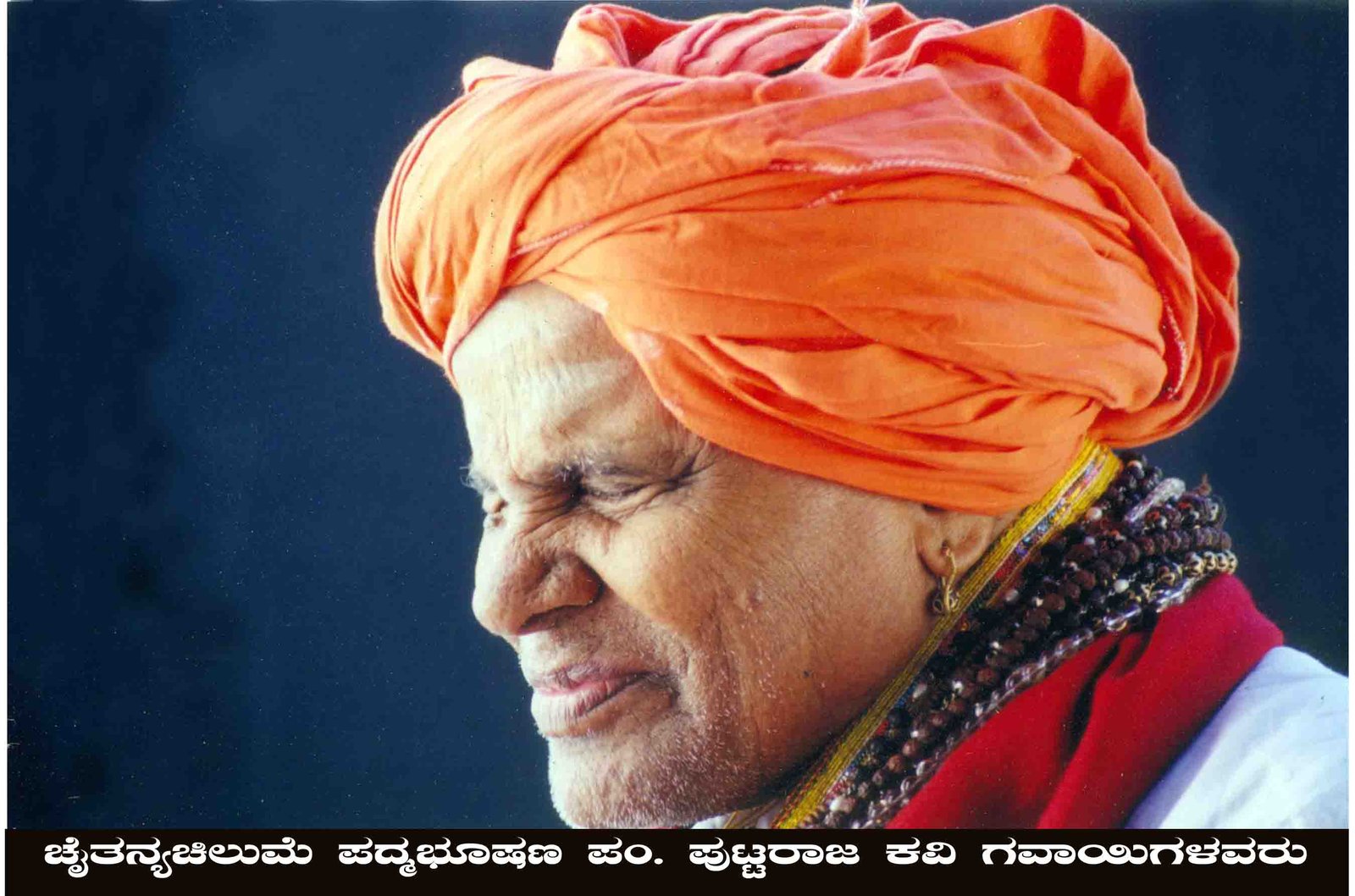 ಭಾವಚಿತ್ರ #46